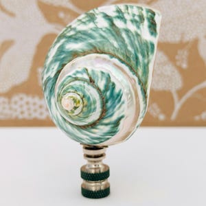Puede incluir: Un remate de lámpara de concha de mar verde y blanca con base plateada. La concha tiene un patrón de espiral y un interior blanco nacarado.