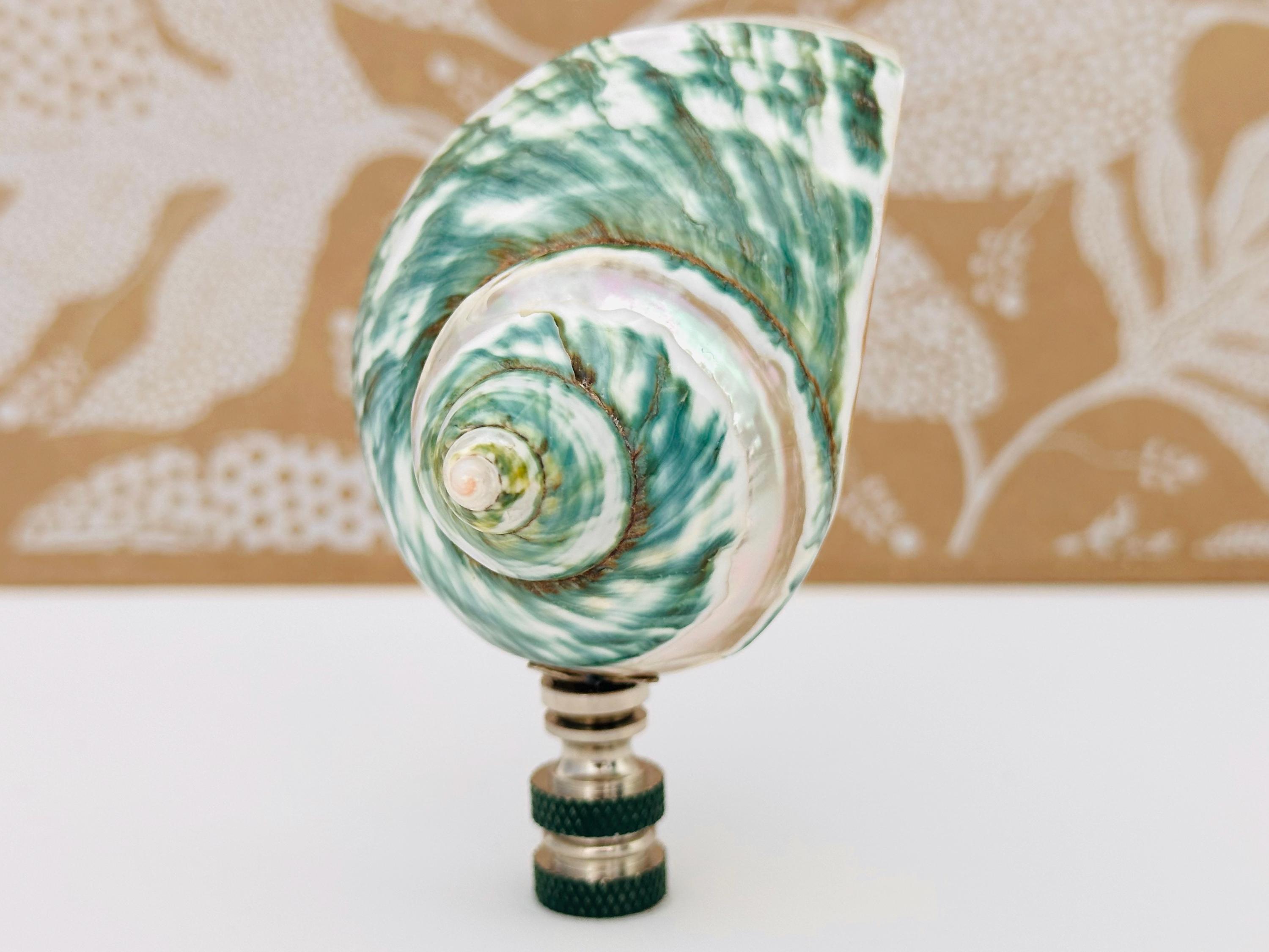 Pearlescent Teal Banded Shell Lamp Finial on Nickel Hardware
