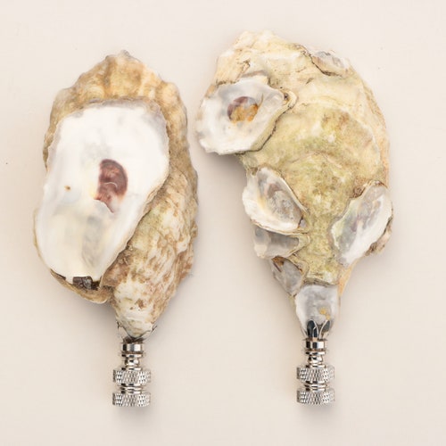 Seafarer's Oyster Sea Shell Lamp Finials in Silver - shops Natural Decoupaged Oyster Shell Specimens on Shiny Chrome Nickel Bases - A Pair