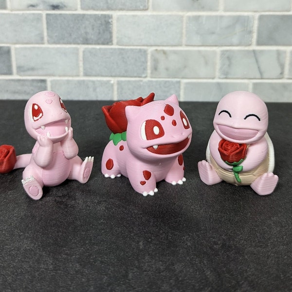 Valentine's Pokemon, Squirtle, Charmander, Bulbasaur, Rose Pokemon, Multi Pack