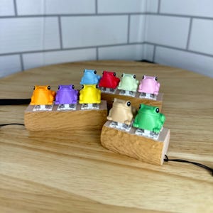 May include: A set of ten frog-shaped keycaps in various colors, including orange, purple, yellow, red, green, light green, light blue, pink, and brown. The keycaps are arranged on two wooden log-shaped bases.