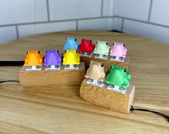 Frog Fidget Toy: Clicky Sensory Toy on Log Base