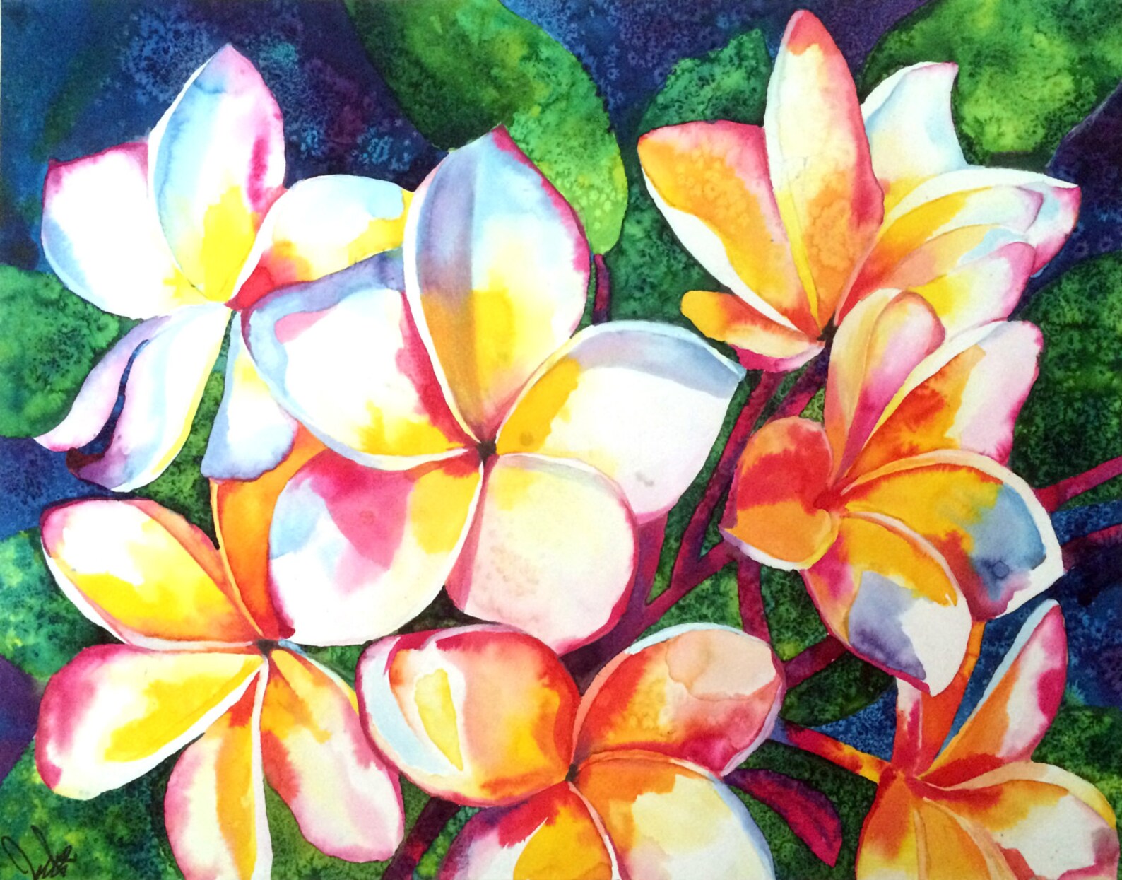 Frangipani Flowers Plumeria Painting Ecoline Draw Etsy