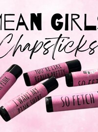 Mean Girls Party Favors, Mean Girls Chip Bags, Burn Book Party Favor, Burn Book Chip Bags