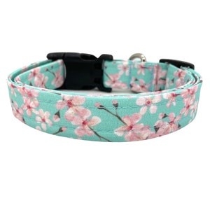 May include: A turquoise blue dog collar with a pink cherry blossom print. The collar has a black plastic buckle.