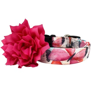 Dog Collar, Multi Color Butterfly Dog Collar with Shocking Pink Flower, Butterfly Collar, Butterfly Dog Collar, Summer Collar, Butterflies