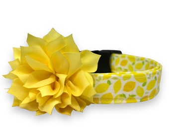 Dog Collar, Lemon Dog Collar with Collar Flower, Summer Dog Collar, Bright Lemon Dog Collar, Fruit Collar, Citrus Collar, Lemon Dog Collar