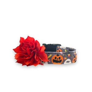 Halloween Dog Collar, Pumpkin Dog with Flower, Ghost Dog Collar, Jack O Lantern Dog Collar, Collar for Halloween, Halloween Collar