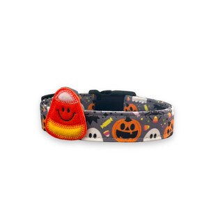 Halloween Dog Collar, Pumpkin Dog with Embellishment, Ghost Dog Collar, Jack O Lantern Dog Collar, Collar for Halloween, Halloween Collar