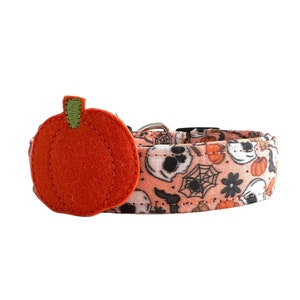 Halloween Dog Collar, Spider Dog Collar, Skull Dog Collar, Fall Dog Collar, Trick or Treat Dog Collar, Pumpkin Dog Collar, Bat Dog Collar