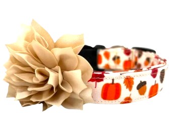Fall Leaf & Pumpkin Dog Collar with Champagne Dog Collar Flower