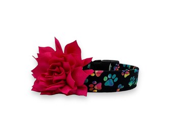 May include: A black dog collar with a colorful paw print pattern and a bright pink fabric flower attached.