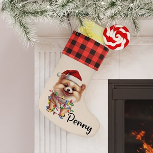 Pomeranian Christmas Stocking, Dog Christmas Stocking, Personalized Dog Stocking, Dog Stocking, Stocking, Puppy Stocking, Pomeranian