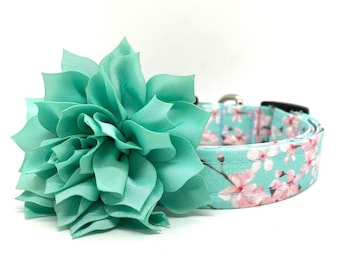 Flower Dog Collar, Spring Floral Dog Collar, Cherry Blossom Dog Collar with 3" Aqua Flower, Floral Dog Collar, Flower, Spring Dog Collar