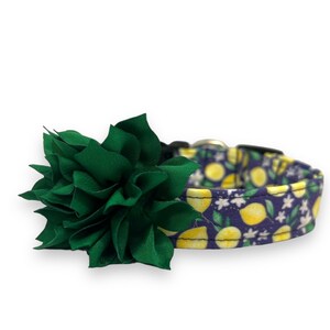 Dog Collar, Lemon Dog Collar with Collar Flower, Summer Dog Collar, Lemon Flower Dog Collar, Fruit Dog Collar, Citrus Dog Collar, Lemons