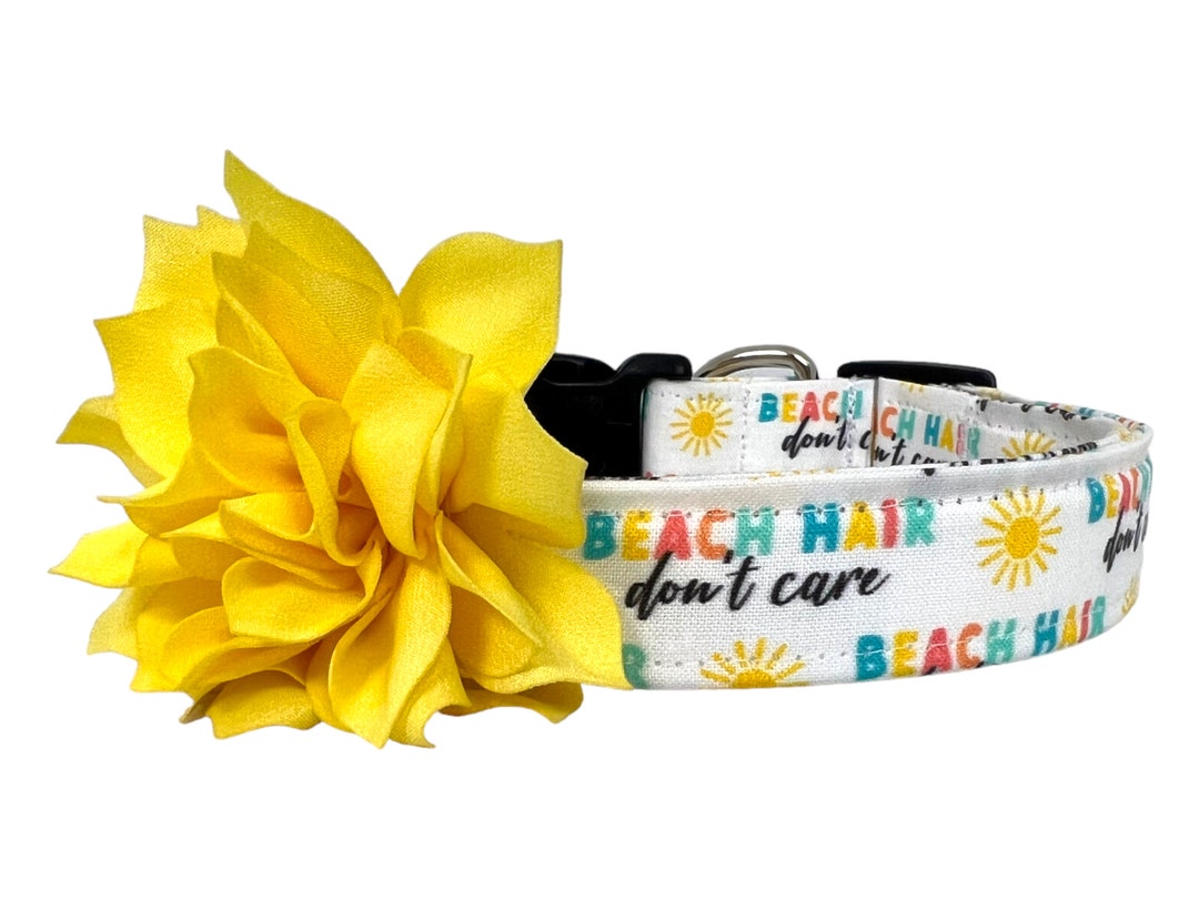 Beach Collar for Dogs, Beach Hair Don't Care Dog Collar, Summer Dog