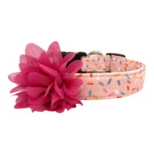 Dog Collar, Birthday Dog Collar, Happy Birthday Dog Collar With