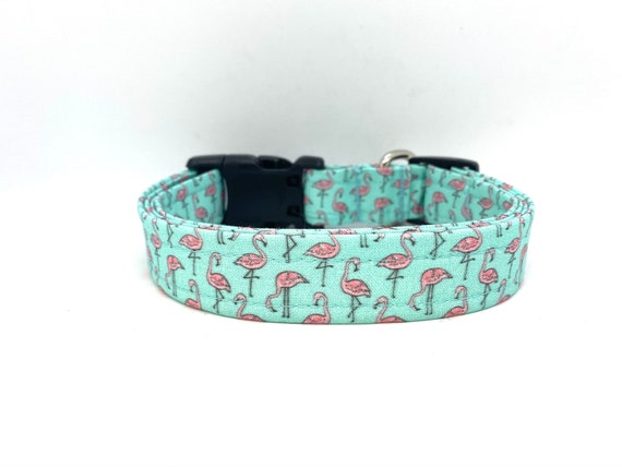Surf Cat Cody Cat Collar with Same Day Shipping