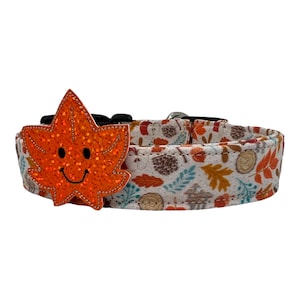 Outdoorsy Woodland Fall Dog Collar with Smiling Leaf Embellishment