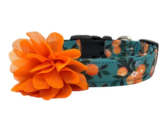 Clementine Dog Collar, Summer Dog Collar, Citrus Dog Collar, Orange Dog Collar, Summer Clementines, Clementine Collar, Orange Dog Collar