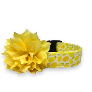 Dog Collar, Lemon Dog Collar with Collar Flower, Summer Dog Collar, Bright Lemon Dog Collar, Fruit Collar, Citrus Collar, Lemon Dog Collar