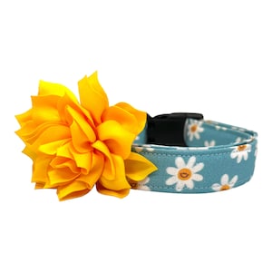 Daisy Dog Collar, Floral Dog Collar with Dog Collar Flower, Smiling Daisy Dog Collar, Spring Dog Collar, Blue Daisy Dog Collar