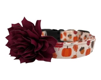 Fall Leaf & Pumpkin Dog Collar with Wine Dog Collar Flower