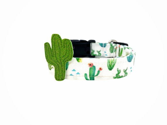Dog Collar Cactus Dog Collar With Cactus Embellishment Cactus Dog Collar Saguaro Cactus Dog Collar Cactus Prickly Pear Cactus Desert Etsy