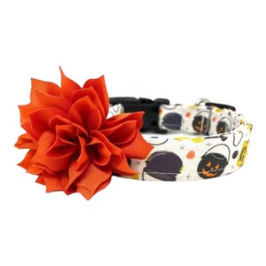 Halloween Trick or Treat Buckets Dog Collar with Orange Flower Embellishment