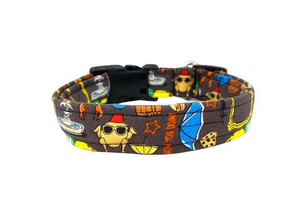 house breaking your dog