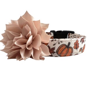 May include: A beige fabric flower with a white and orange fabric dog collar with a pumpkin and leaf pattern.