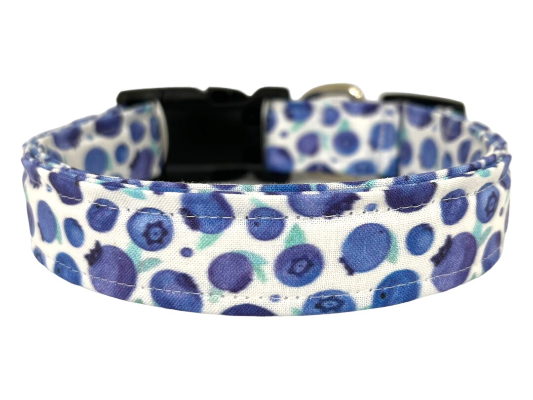 Blueberry Dog Collar Summer Dog Collar Summer Blueberry Dog Etsy