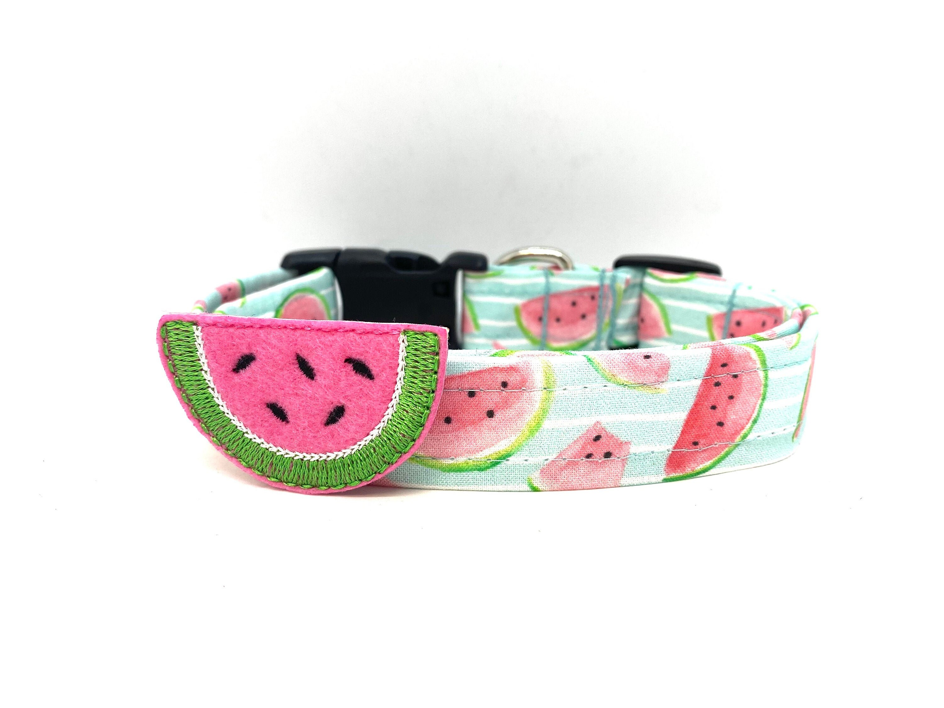 Dog Collar Watermelon Collar with Watermelon Embellishment Etsy
