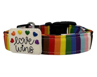 Pride Rainbow Stripes Dog Collar, Rainbow Stripe Dog Collar with Embellishment, Pride flag Dog Collar, Inclusion Dog Collar, Trans Pride