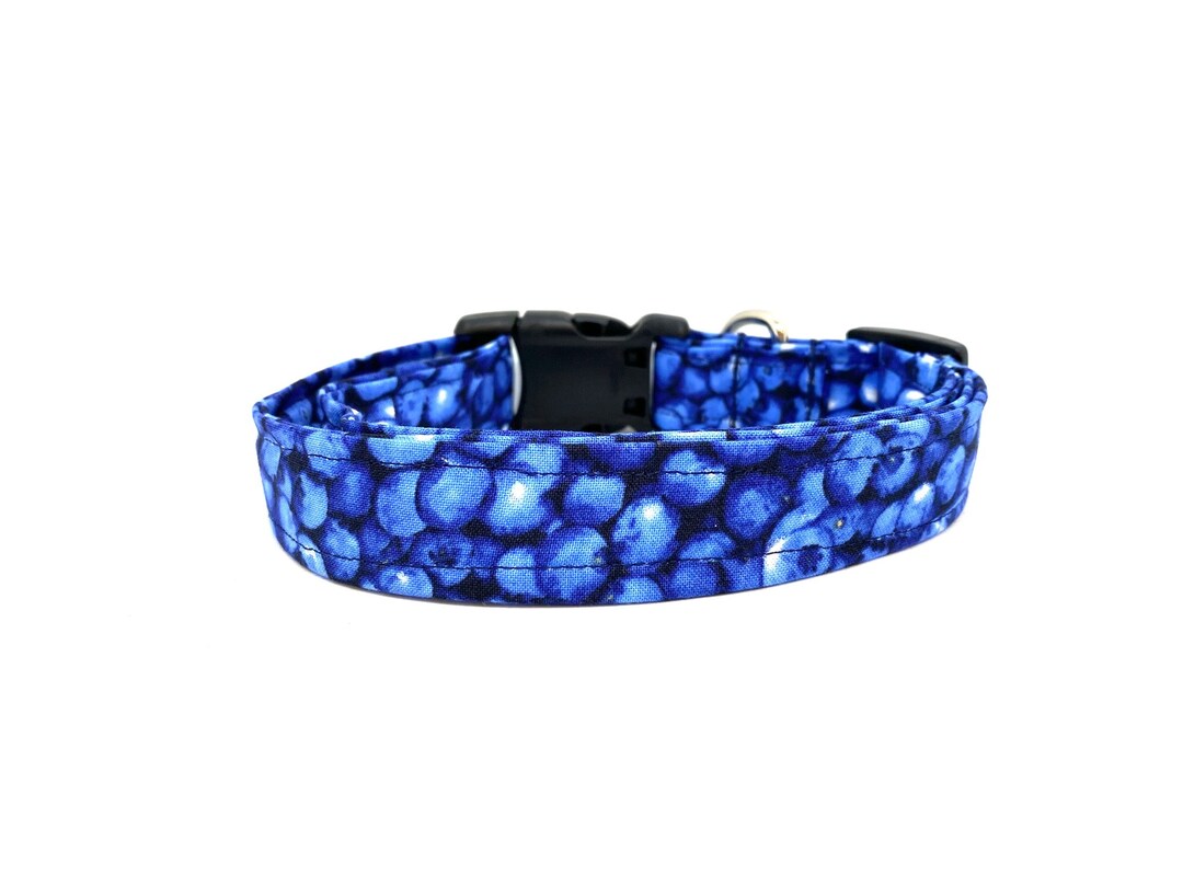 Dog Collar Blueberry Dog Collar Summer Blueberry Dog Collar Etsy