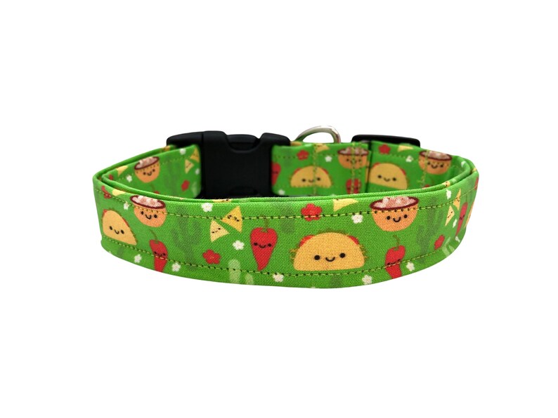 Green dog collar featuring a playful pattern of smiling tacos, chips and salsa, and saguaro cacti, designed with vibrant colors and a fun, food-themed vibe.