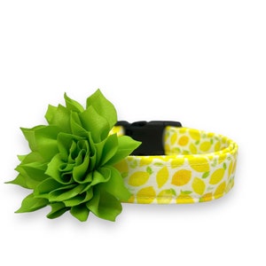 Dog Collar, Lemon Dog Collar with Collar Flower, Summer Dog Collar, Bright Lemon Dog Collar, Fruit Collar, Citrus Collar, Lemon Dog Collar