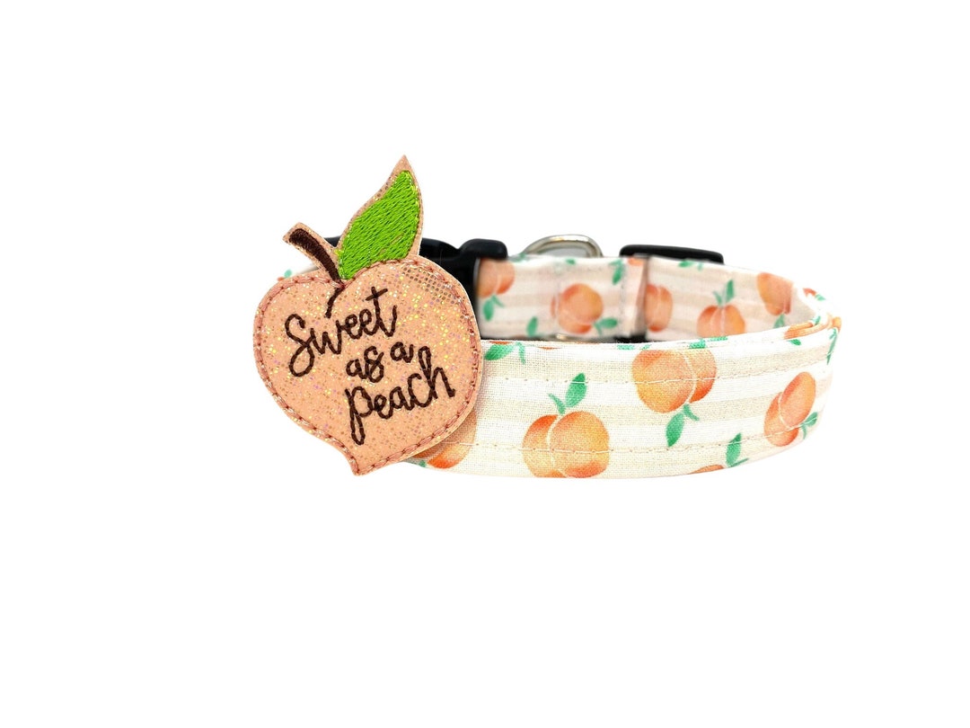 Peach Dog Collar Summer Dog Collar Pastel Peach Fruit Dog Etsy