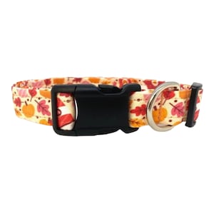 Fall Dog Collar – Pink Pumpkin Spice Collar – PSL Dog Collar – Fall Leaf Dog Collar - Thanksgiving Dog Collar - Pumpkin Dog Collar, Fall