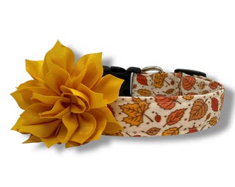 Fall Dog Collar, Fall Leaves Dog Collar with Flower, Thanksgiving Dog Collar, Autumn Dog Collar, Dog Collar for Fall
