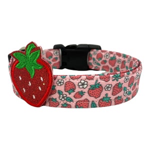 Dog Collar, Strawberry Collar with Red Strawberry Embellishment, Spring, Strawberry Dog Collar, Summer Dog Collar, Berries