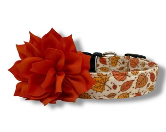 Fall Dog Collar, Fall Leaves Dog Collar with Flower, Thanksgiving Dog Collar, Autumn Dog Collar, Dog Collar for Fall