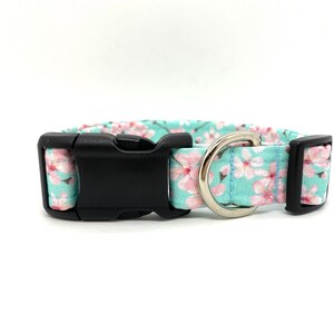 May include: A light blue dog collar with a pink floral print and a black buckle. The collar has a silver D-ring.