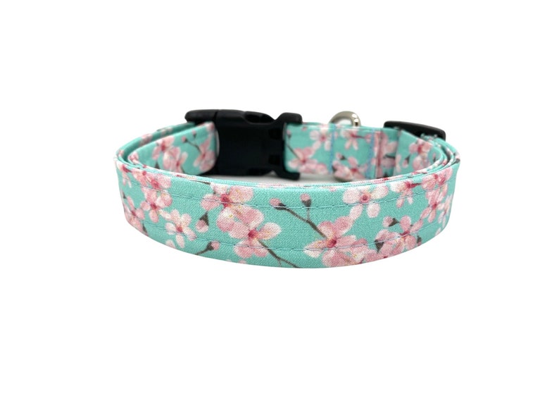 May include: A turquoise blue dog collar with a pink cherry blossom print. The collar has a black plastic buckle.