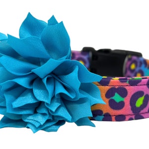 Leopard Dog Collar, 90s Leopard Dog Collar, Rainbow Dog Collar, 90s Rainbow Star, Everyday Dog Collar, Summer Dog Collar, Dog Collar for Her