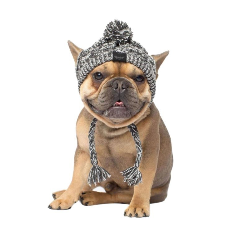 Dog Hat Winter Dog Hat Dog Beanie Winter Hat for Dog Etsy