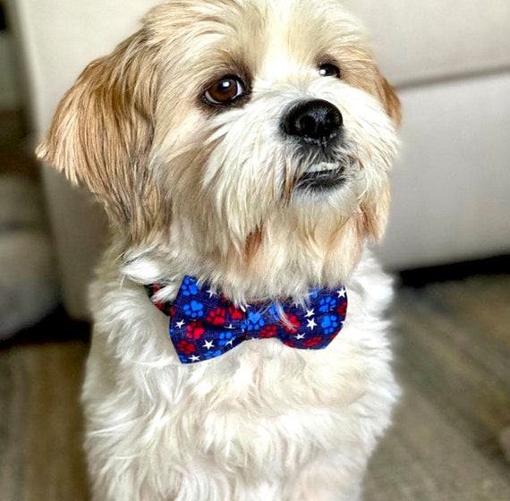 Patriotic Dog Bow American Flag Dog Bowtie Bowtie for Dog Doggie Bowtie American Flag Dog Bowtie Dog Bow Tie Bow Tie for Dog Dog Bow Etsy UK
