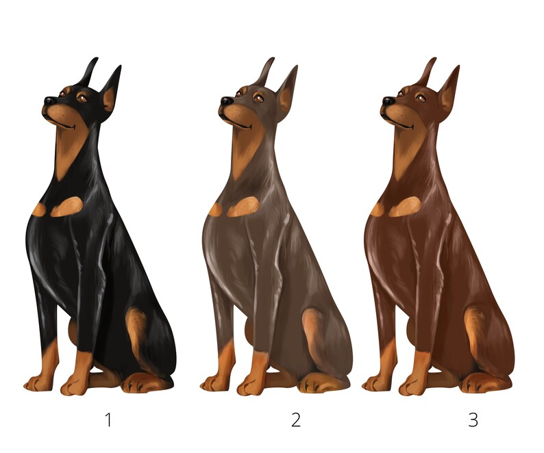 Op de afbeelding: Drie digitale illustraties van Dobermann-honden in profiel, elk met een andere vachtkleur. Hond 1 is zwart met tan, hond 2 is blauw met tan en hond 3 is bruin met tan. Elke hond is genummerd met 1, 2 of 3 onder de betreffende figuur.
