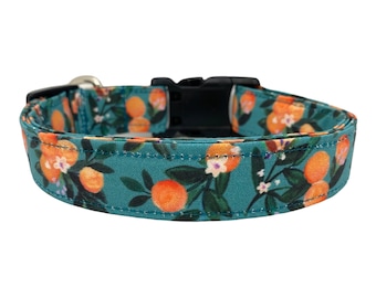 Clementine Dog Collar, Summer Dog Collar, Citrus Dog Collar, Orange Dog Collar, Summer Clementines, Clementine Collar, Orange Dog Collar