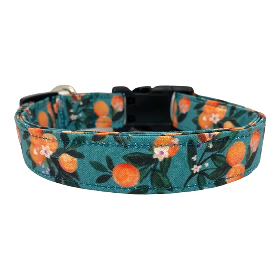 Citrus 2025 dog collar